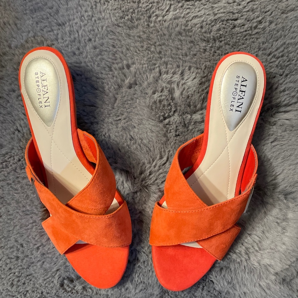 Alfani, 10, Persimmon